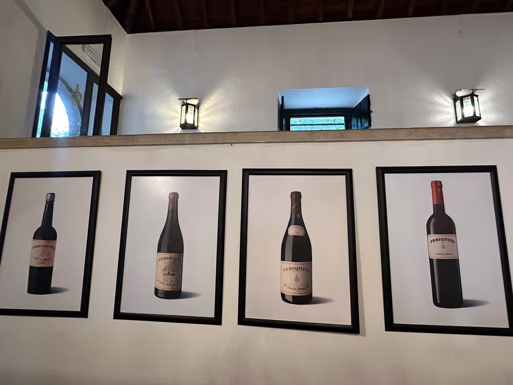 Lisbon Private Tour - JMF Winery