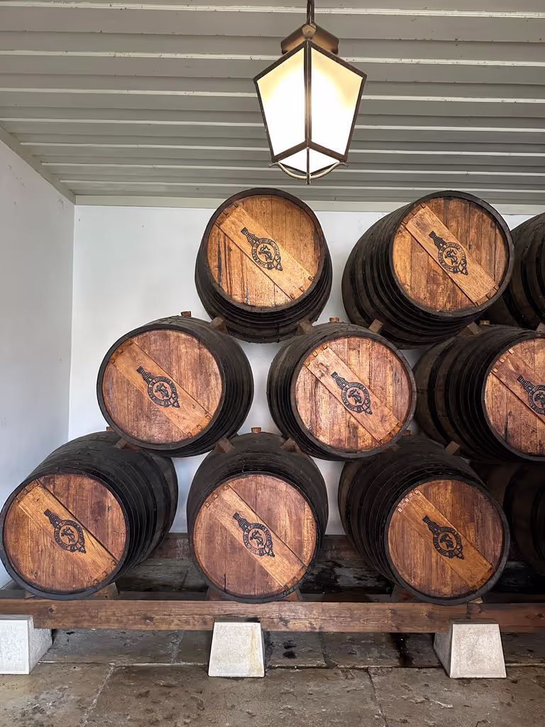 Lisbon Private Tour - Jose Maria da Fonseca Winery