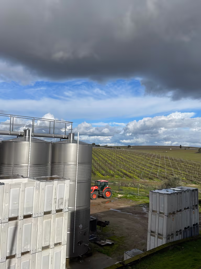 Lisbon Private Tour - Ervideira Winery