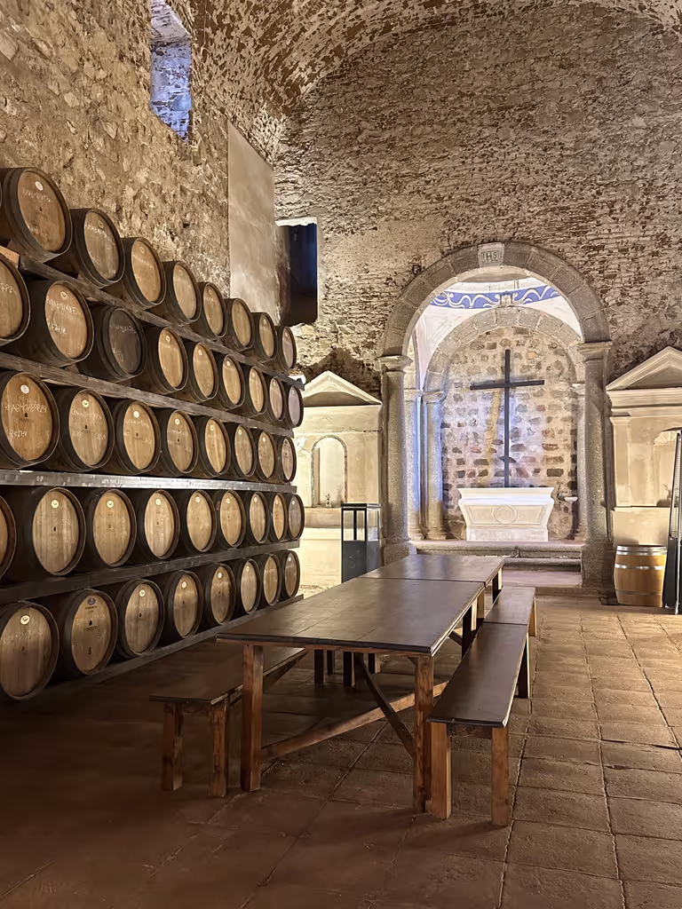 Lisbon Private Tour - Fita Preta Winery
