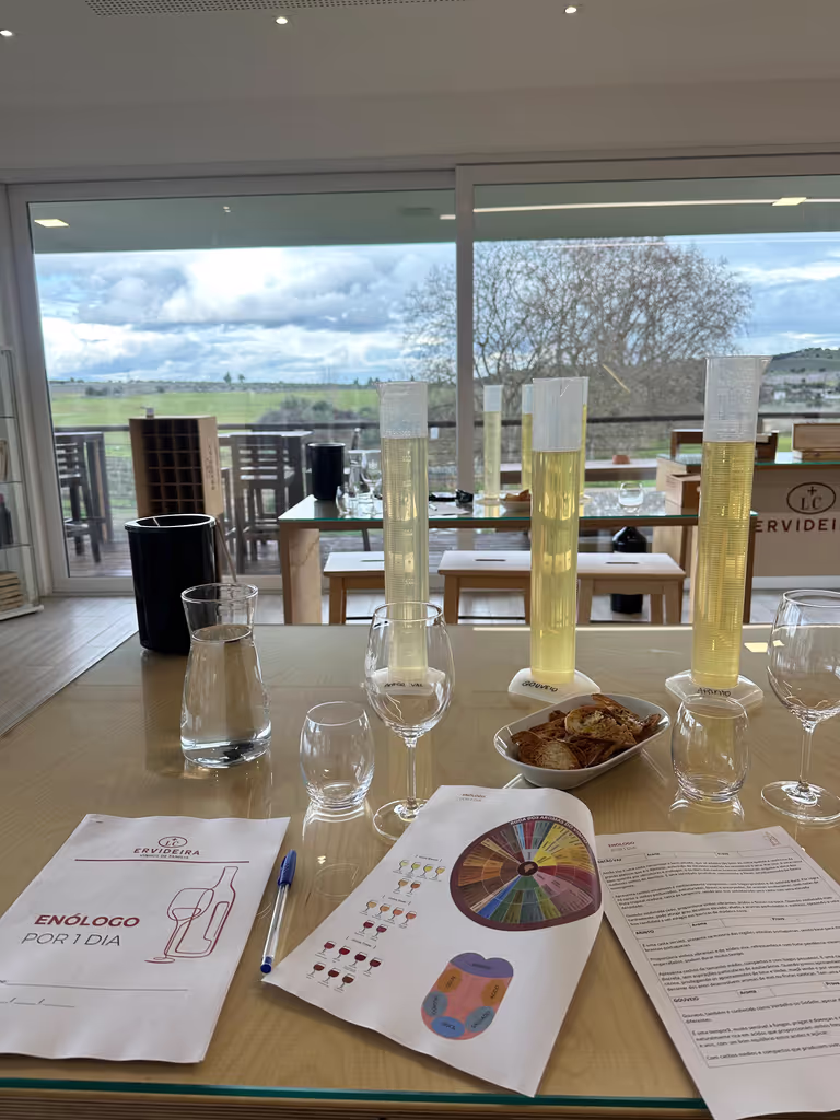 Lisbon Private Tour - Winemaker for a day