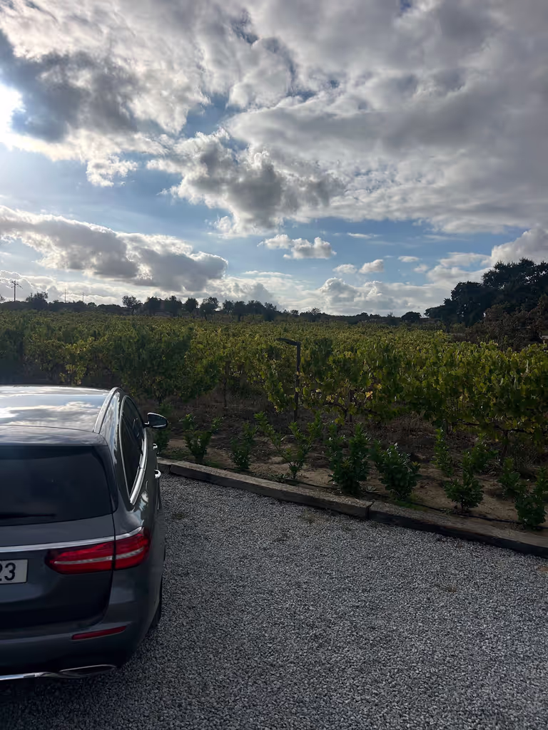 Lisbon Private Tour - Alentejo