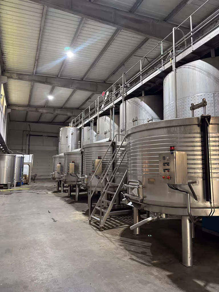 Lisbon Private Tour - Catralvos Winery