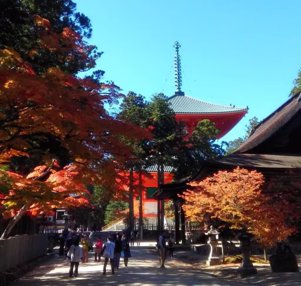 Kyoto Private Tour - Mt Koya:  a religious and sacred place where you see many temples, it's still practical.