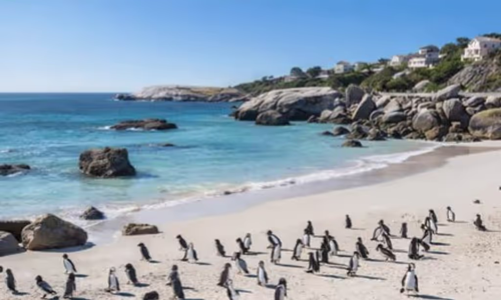 Western Cape Private Tour - 