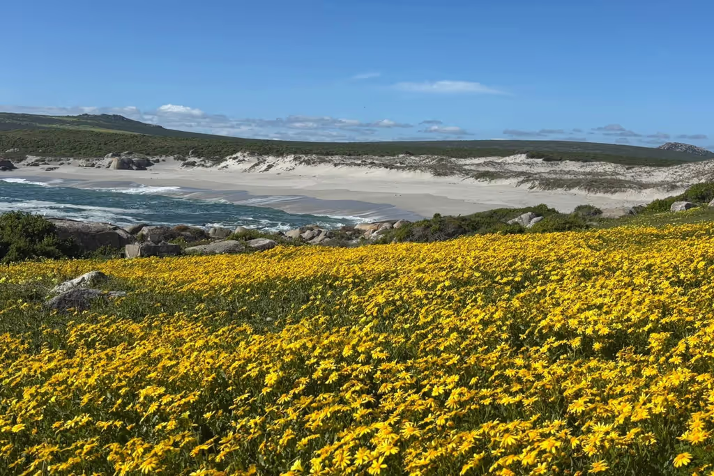 Western Cape Private Tour - 