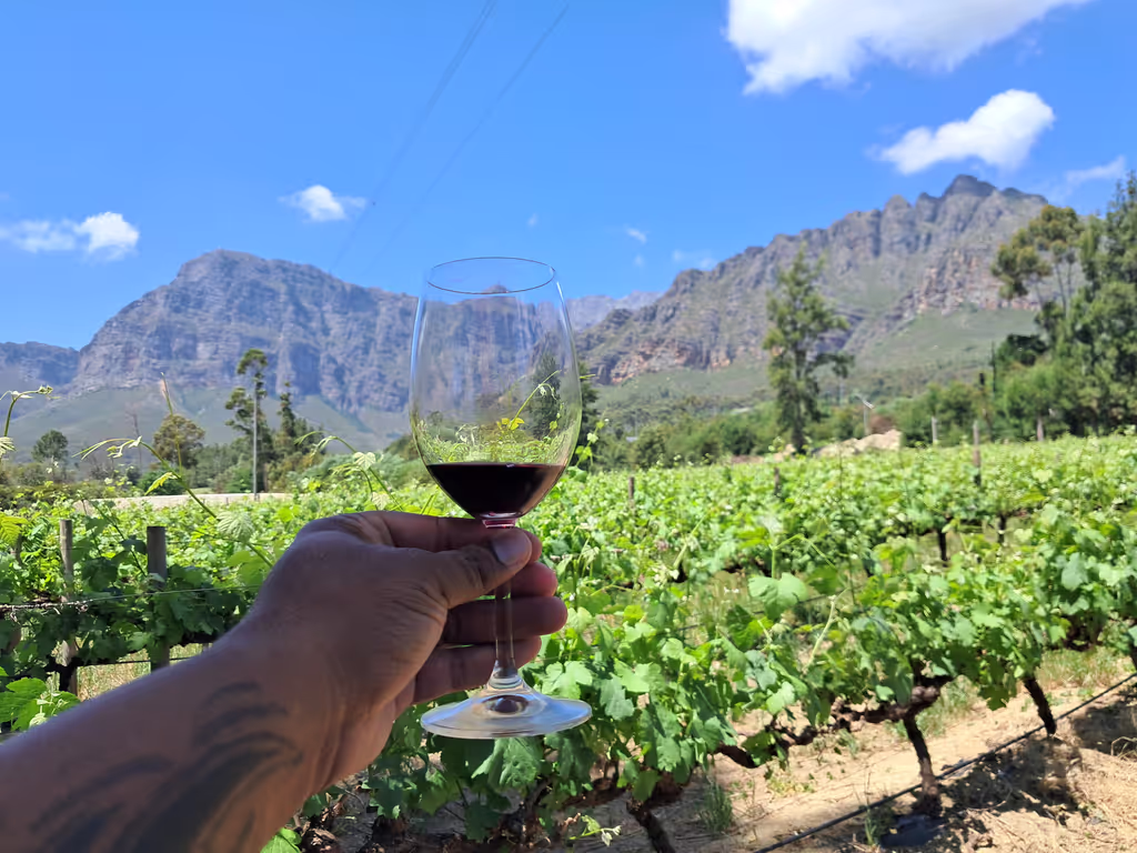 Western Cape Private Tour - 