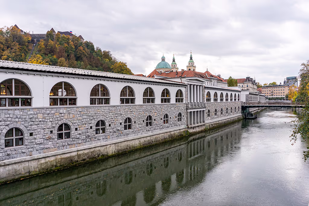 Ljubljana Private Tour - UNESCO heritage