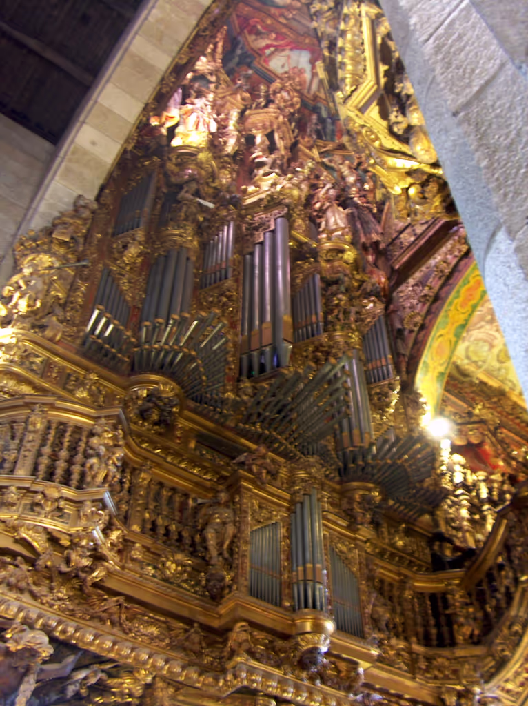 Lisbon Private Tour - Organ-Cathedral Braga