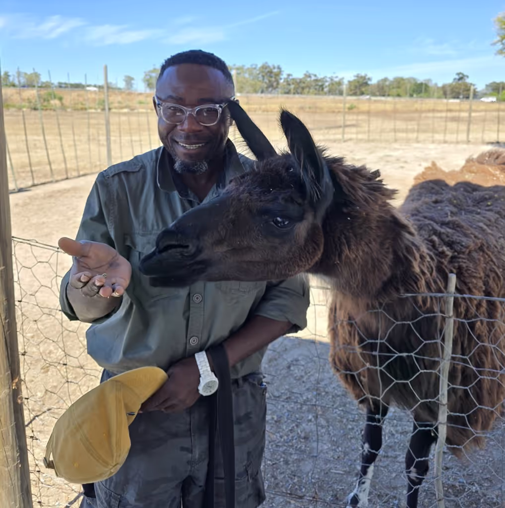 Cape Town Private Tour - 