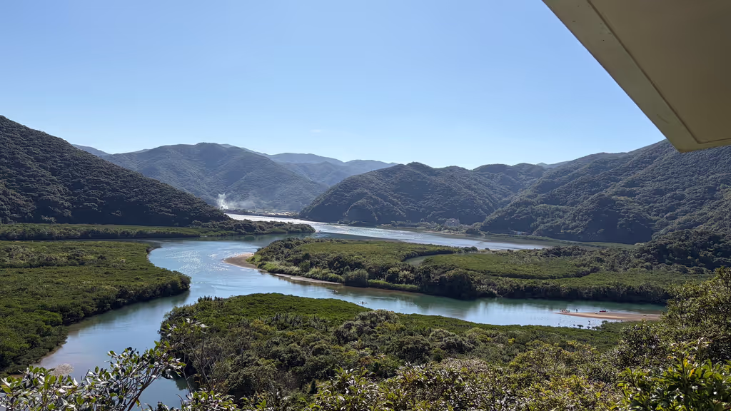 Kagoshima Private Tour - Mangrove Forst in Amami