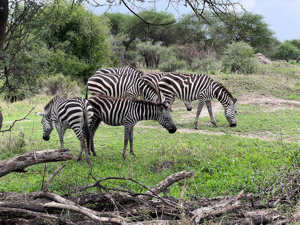 Morogoro Private Tour - 