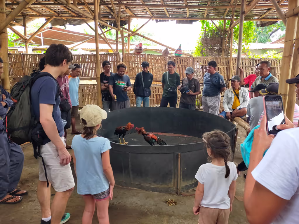 Central Java Private Tour - rooster fight