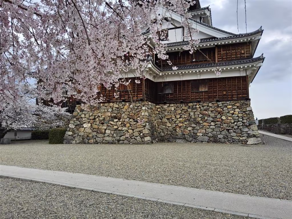Kyoto Private Tour - Castle Fukuchiyama / Sakura