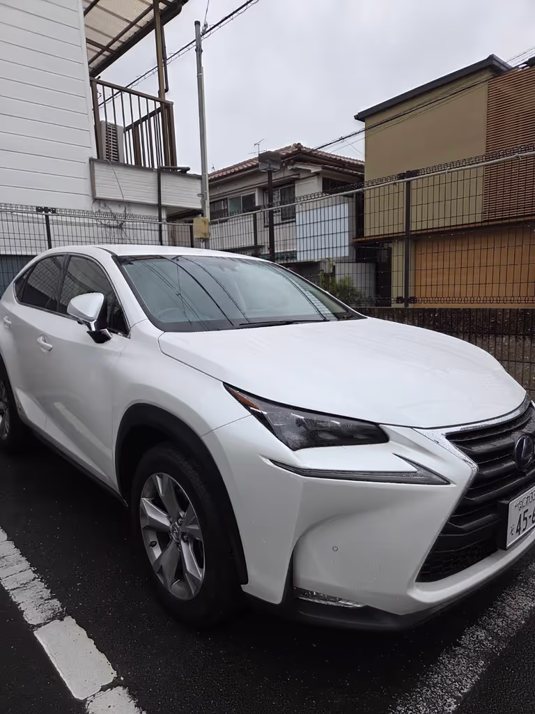 Osaka Private Tour - 