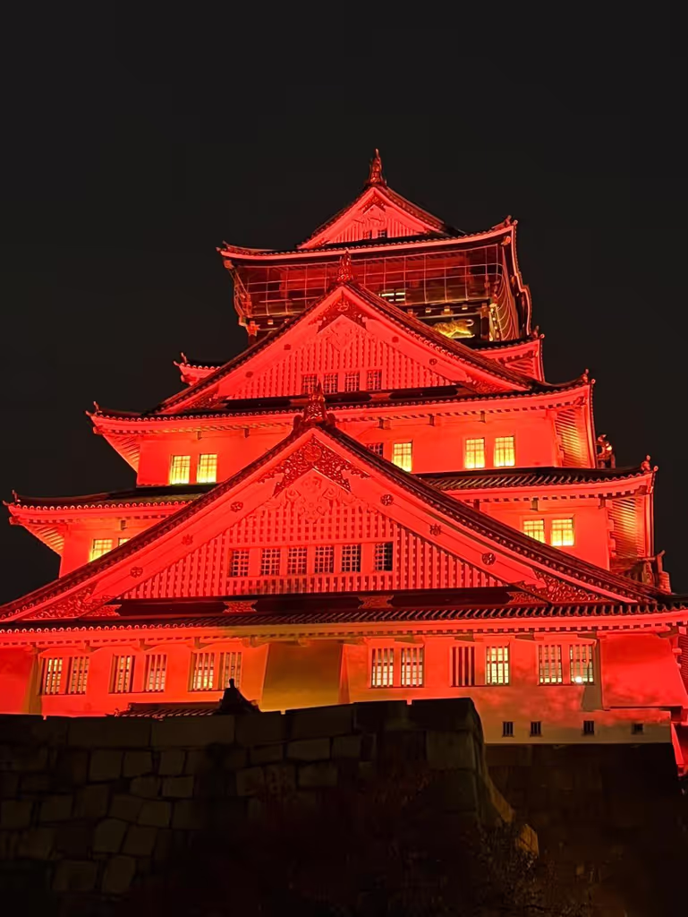 Osaka Private Tour - 