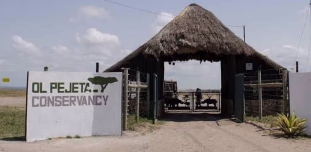 Nairobi Private Tour - 