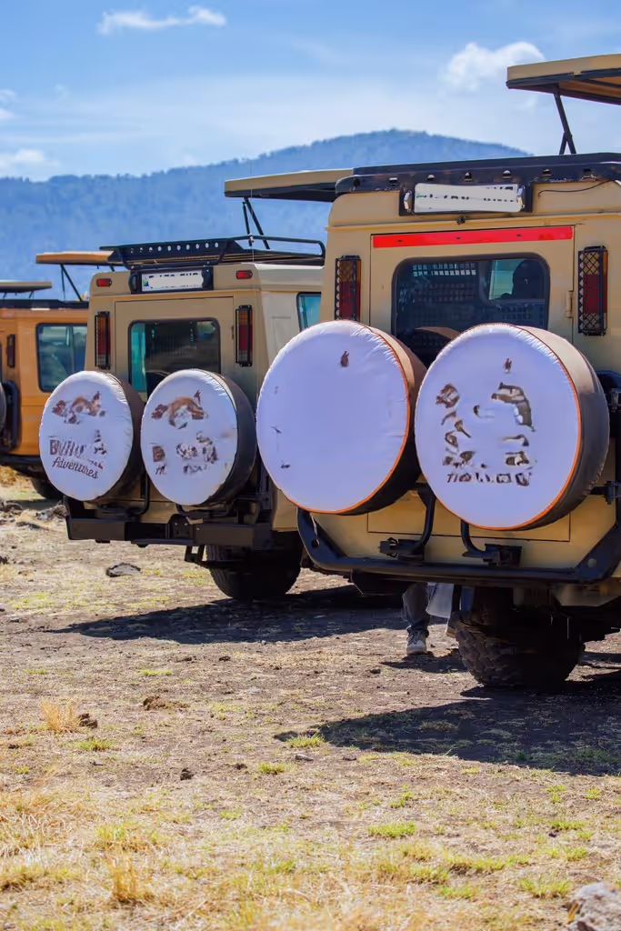 Arusha Private Tour - 