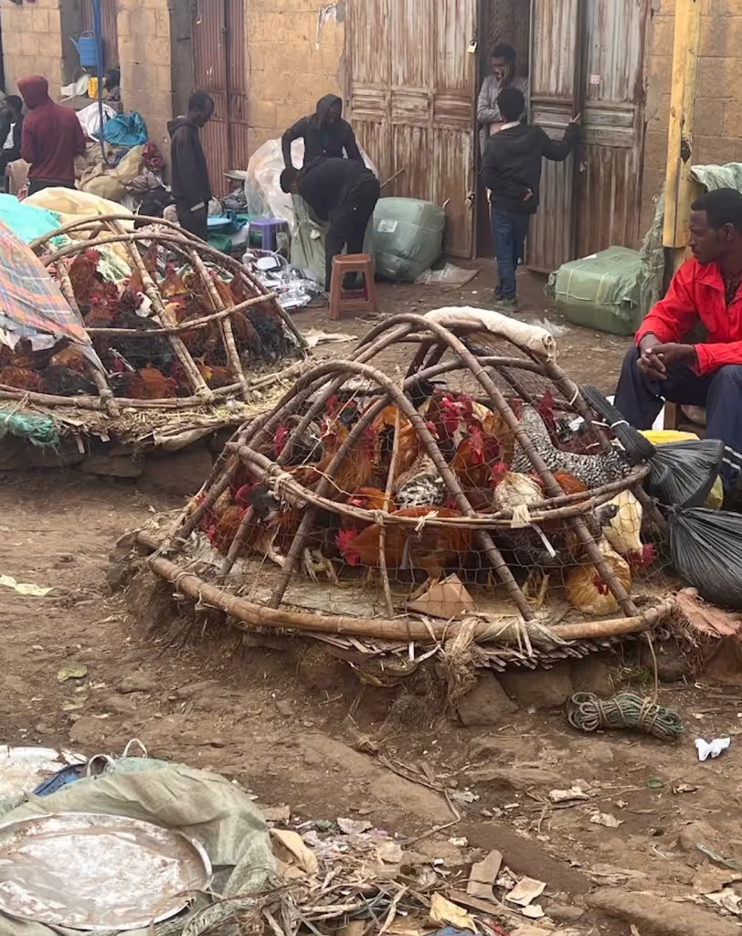 Addis Ababa Private Tour - 