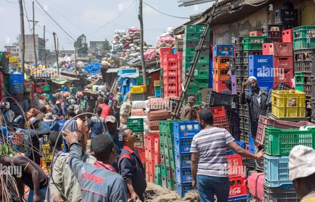 Addis Ababa Private Tour - 