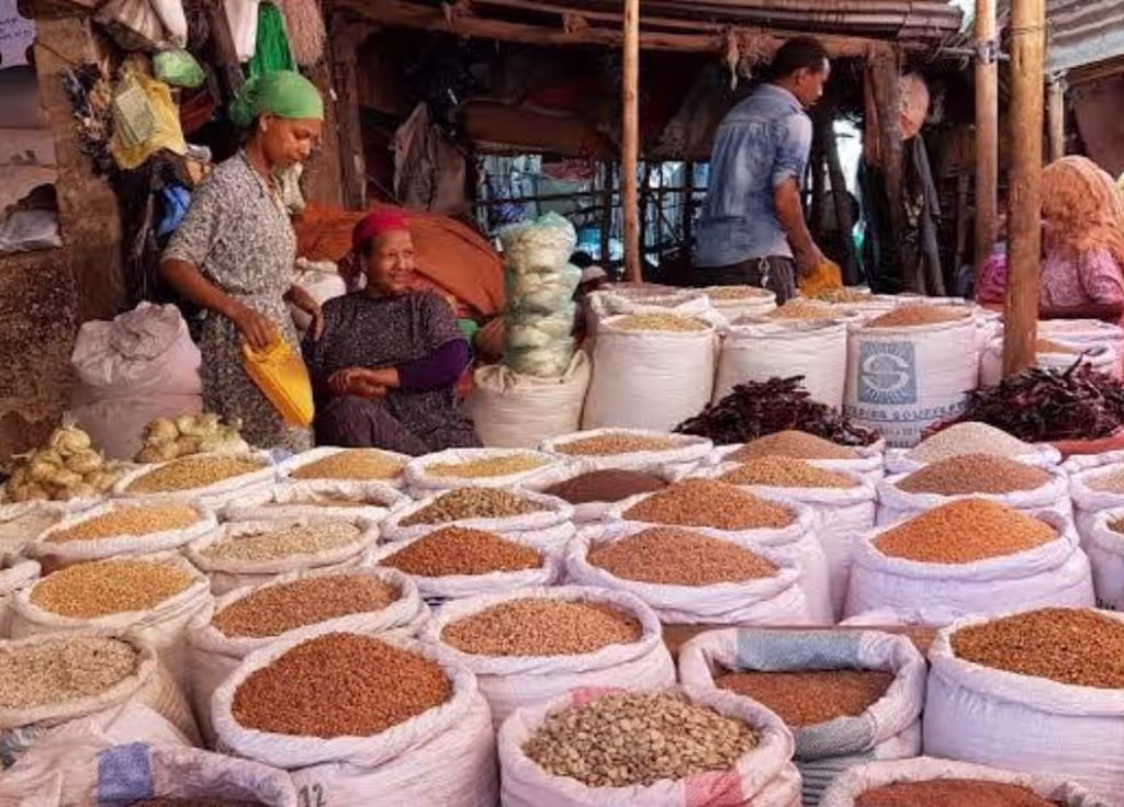 Addis Ababa Private Tour - 