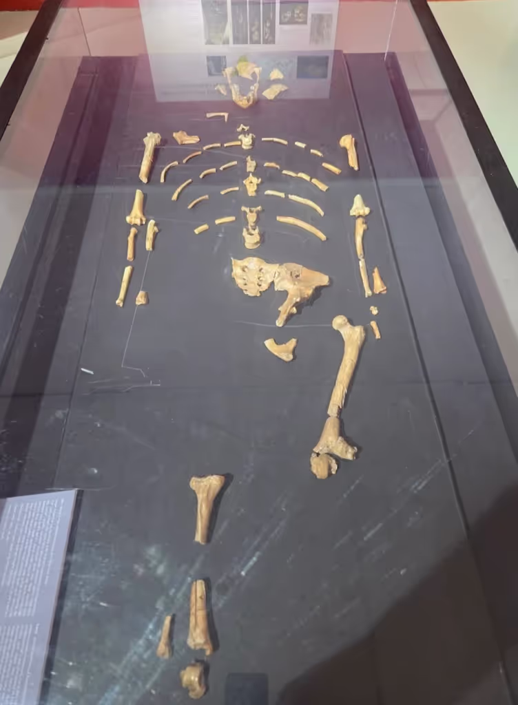 Addis Ababa Private Tour - 