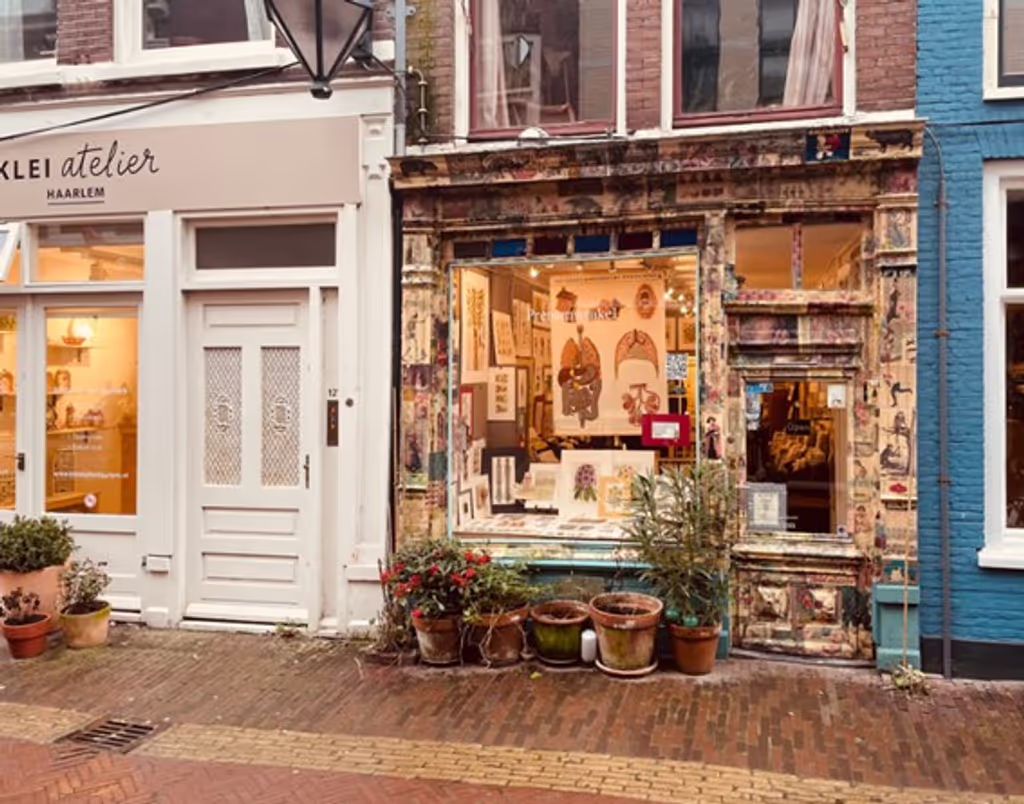 Haarlem Private Tour - 
