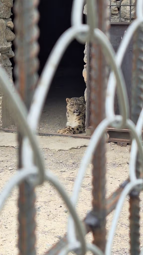 Dushanbe Private Tour - 