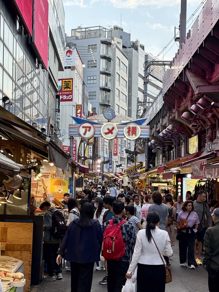 Chiba Private Tour - Ameyoko Einkaufsstraße in Okachimachi