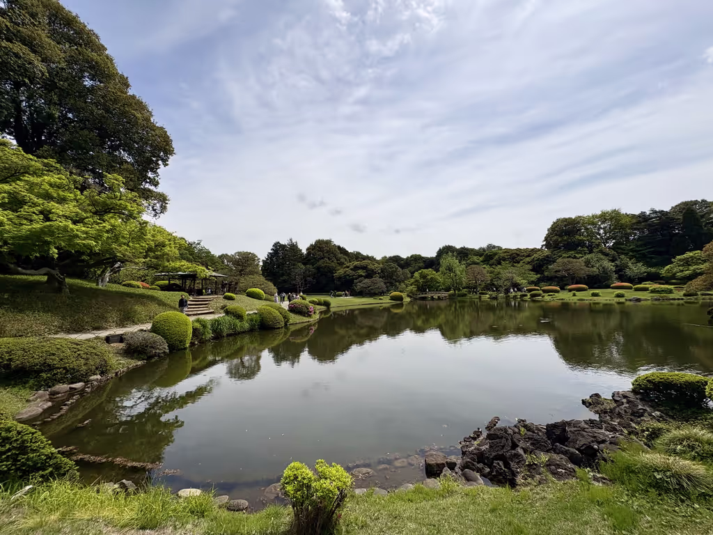 Chiba Private Tour - Shinjuku Gyoen Park