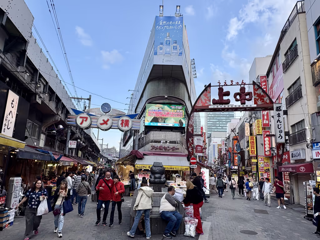 Chiba Private Tour - Ameyoko Einkaufsstraße in Okachimachi