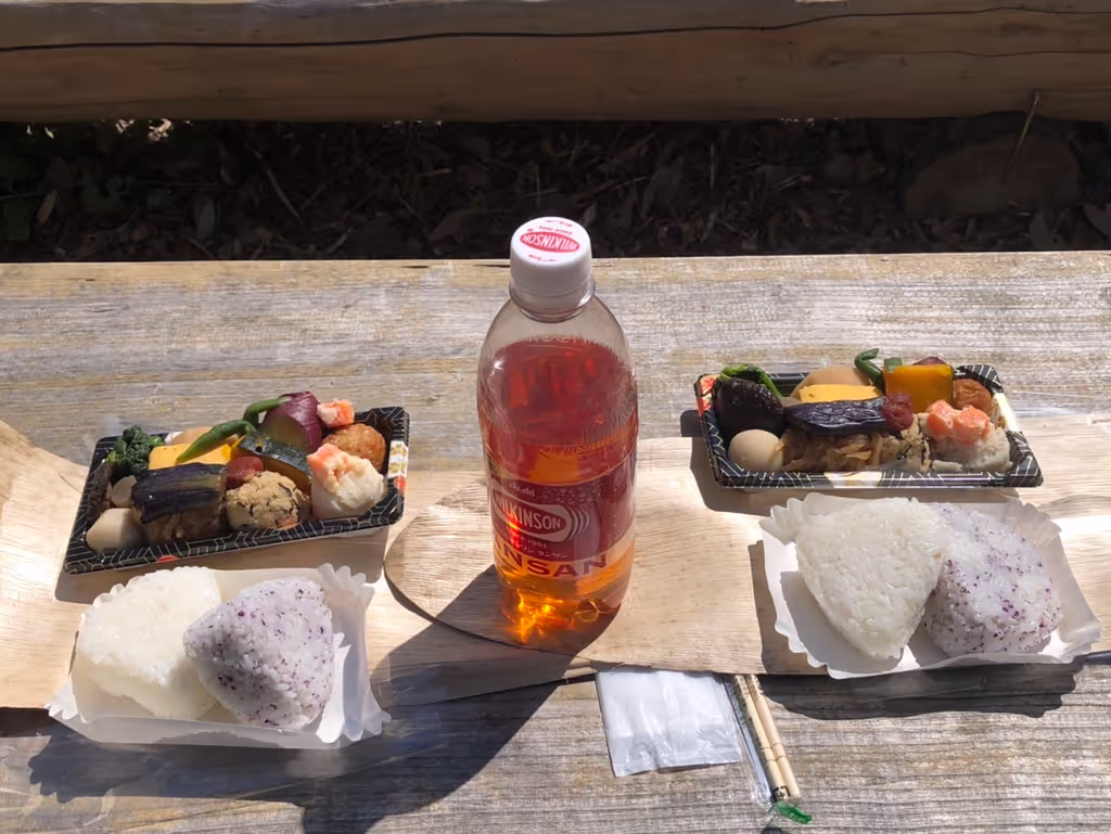 Osaka Private Tour - Japanese healthy obento 