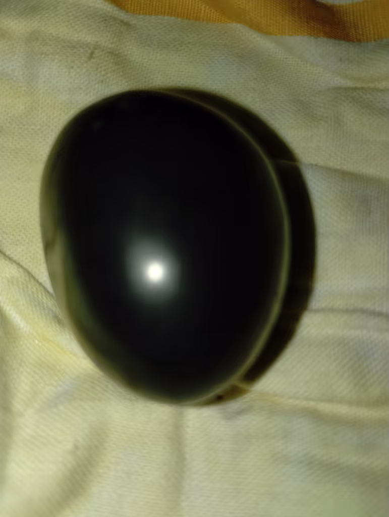 Uttar Pradesh Private Tour - Narmadeshwar Mahadev 