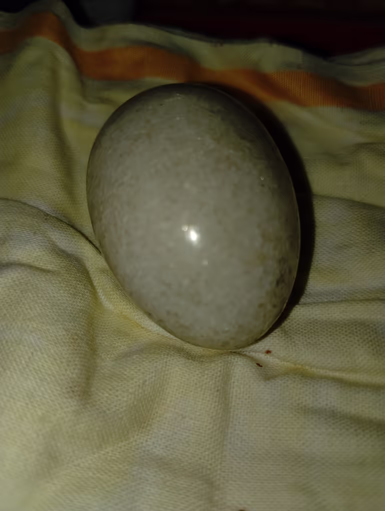 Uttar Pradesh Private Tour - Narmadeshwar Mahadev 