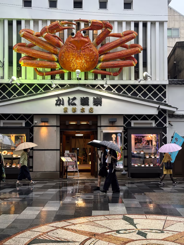 Hyogo Private Tour - Kyoto