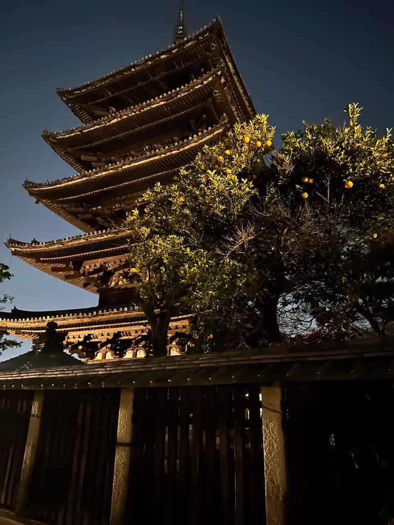Hyogo Private Tour - Kyoto - To-ji Temple at night uncrowded.  