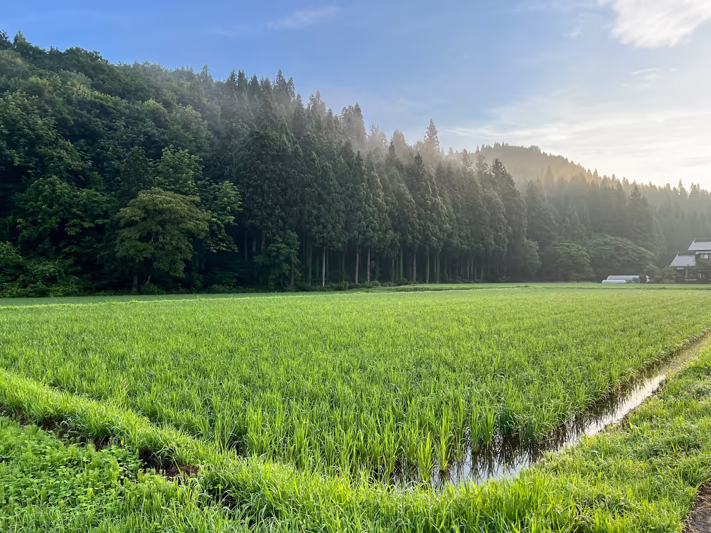 Kanagawa Private Tour - 