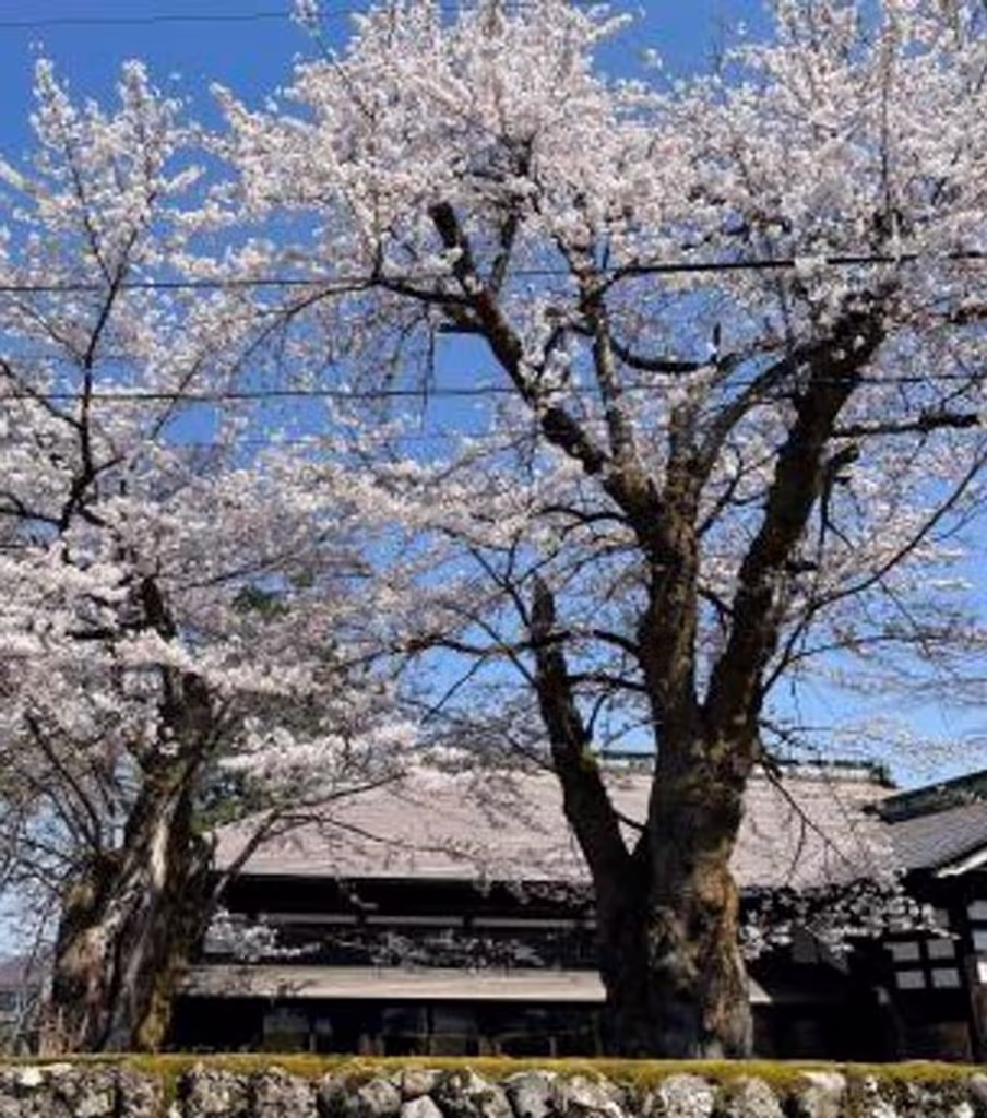 Kanagawa Private Tour - 