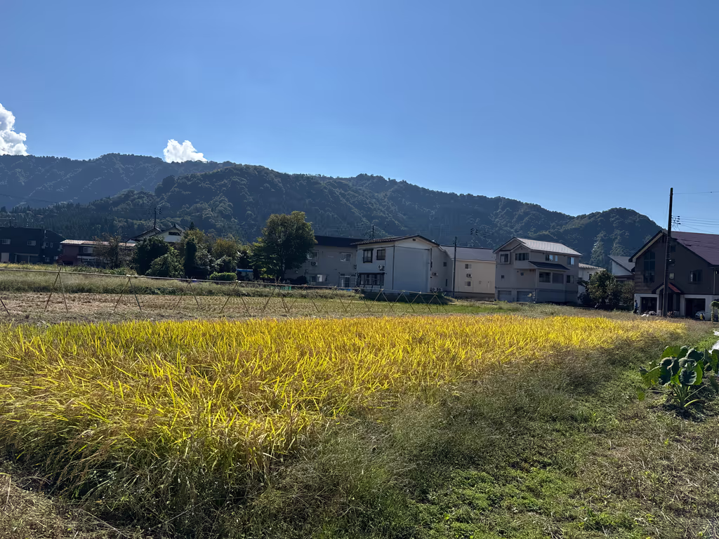 Kanagawa Private Tour - 