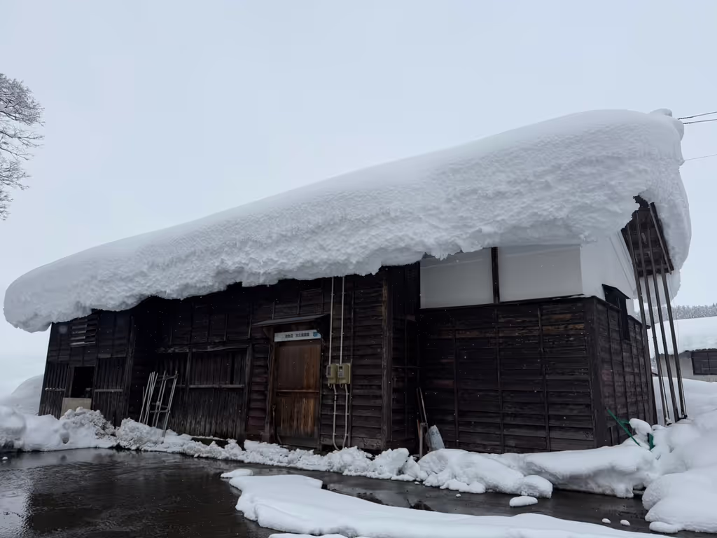 Kanagawa Private Tour - 