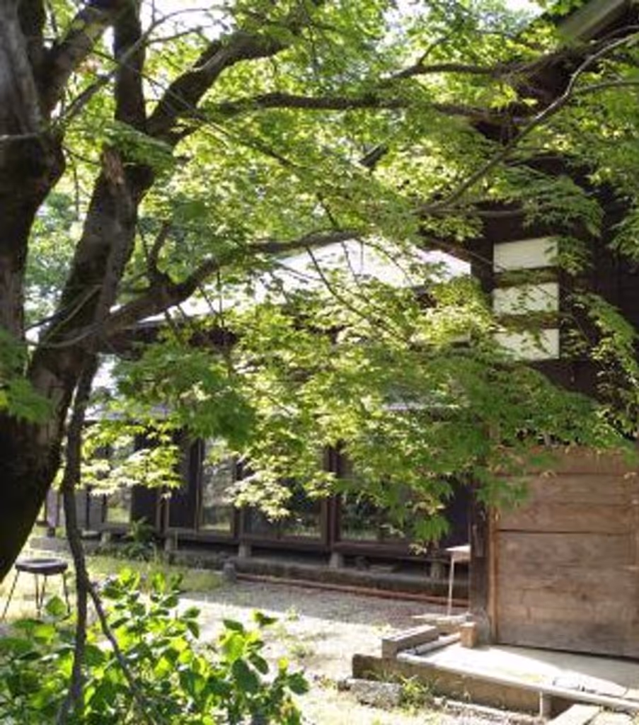 Kanagawa Private Tour - 