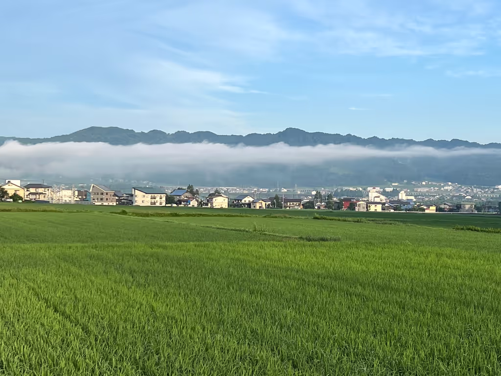 Kanagawa Private Tour - 