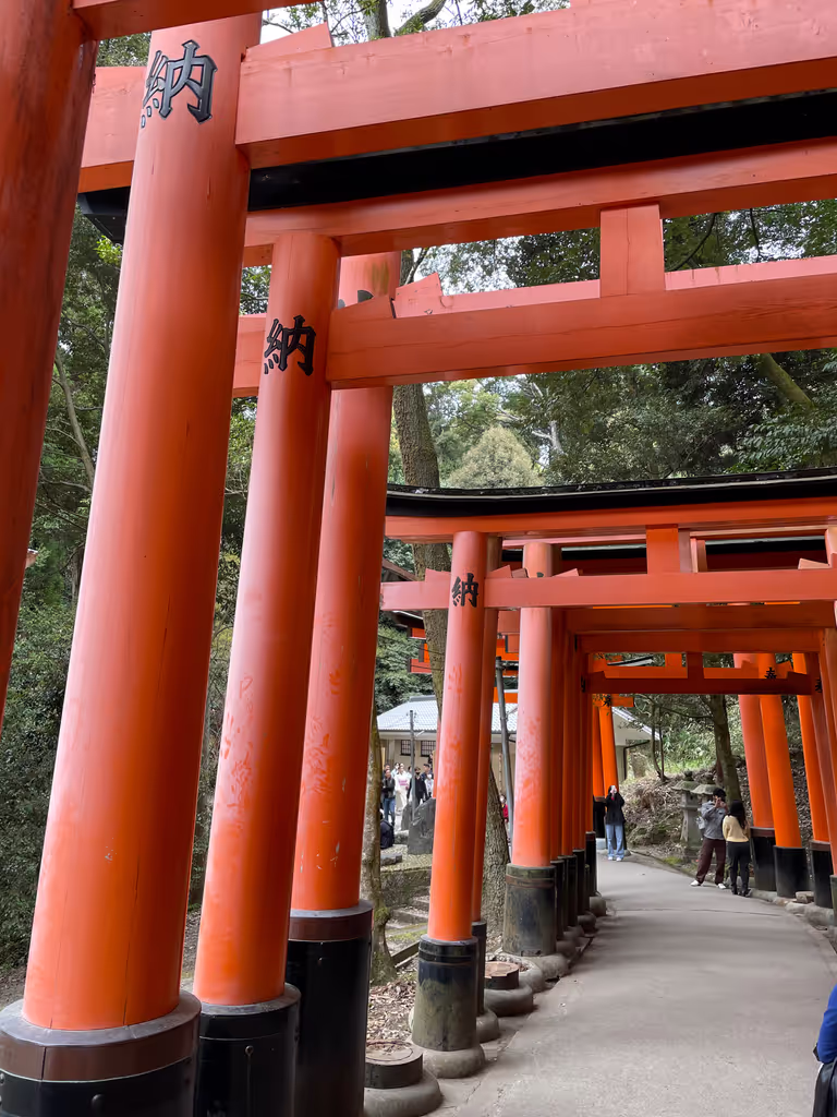 Kyoto Private Tour - Fushimi Inari shrine corridor