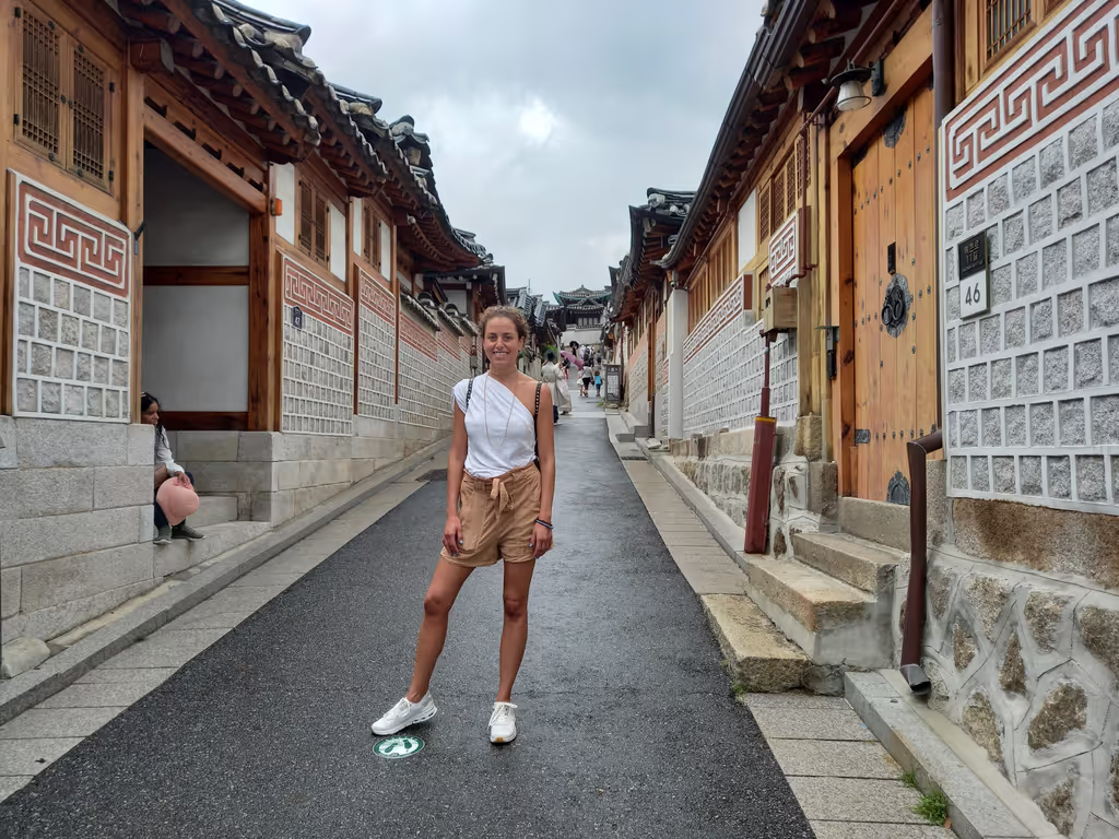 Seoul Private Tour - Bukchon Hanok Village