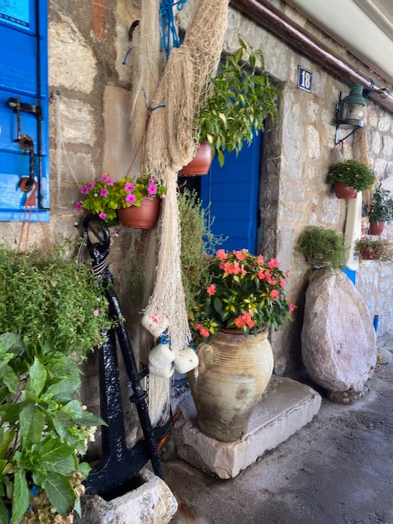 Kotor Private Tour - null