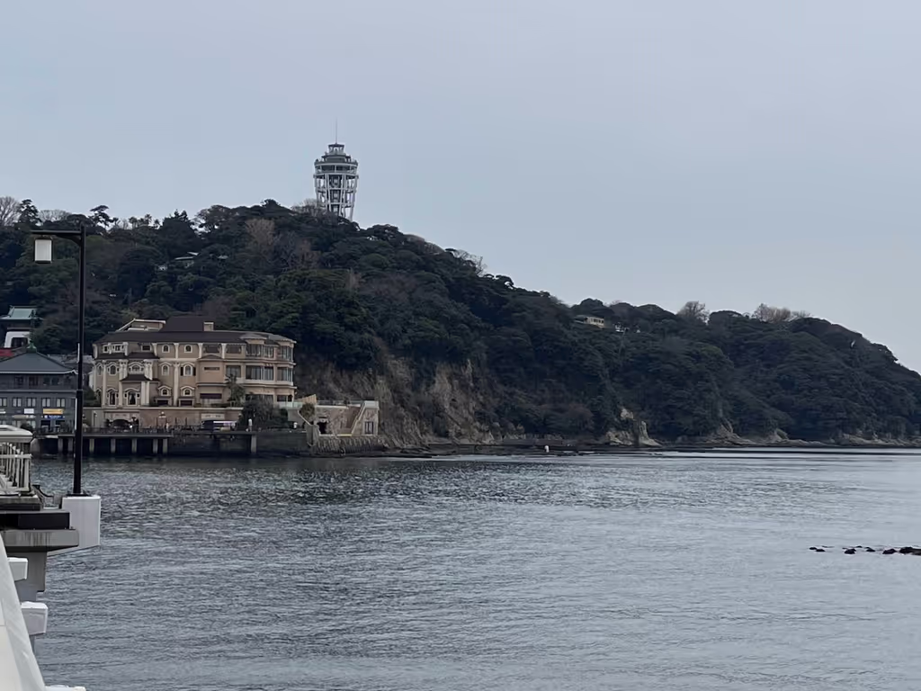 Kamakura Private Tour - null