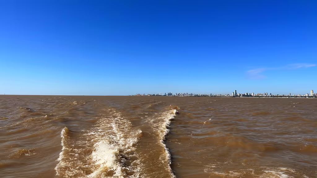 Buenos Aires Private Tour - null