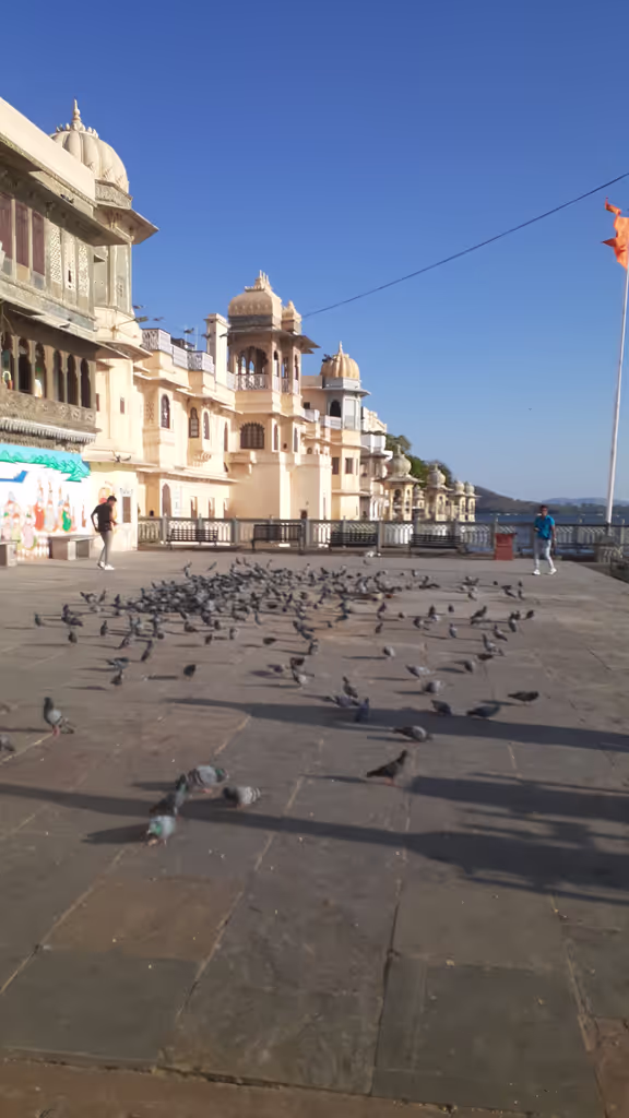 Udaipur Private Tour - Witnessing the lovely view at the Bank of Lake Pichola.