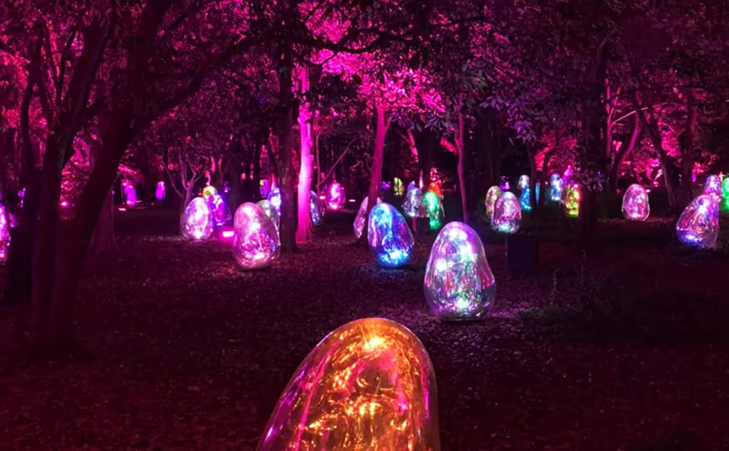Osaka Private Tour - Teamlab presents artworks at the Botanical Garden in Nagai④
