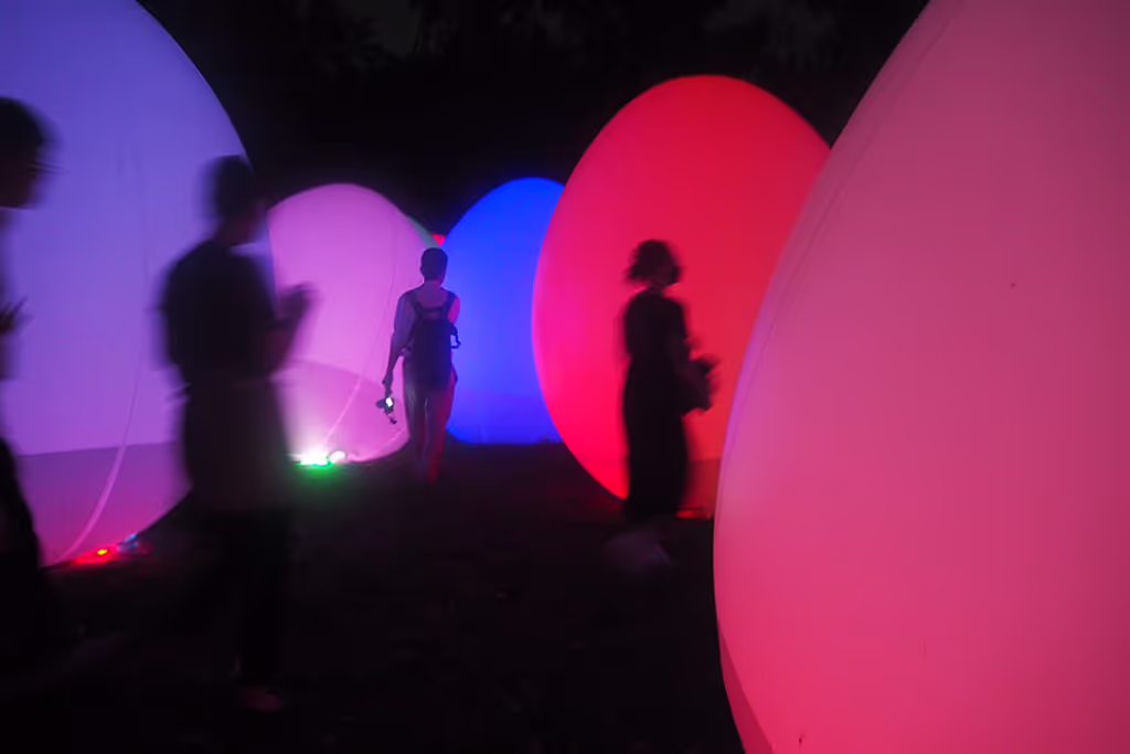 Osaka Private Tour - Teamlab presents artworks at the Botanical Garden in Nagai②